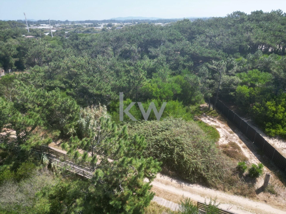 Terreno para Venda em Estela Foto 5