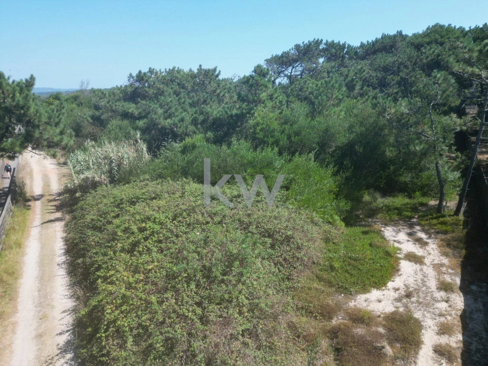 Terreno para Venda em Estela Foto 6