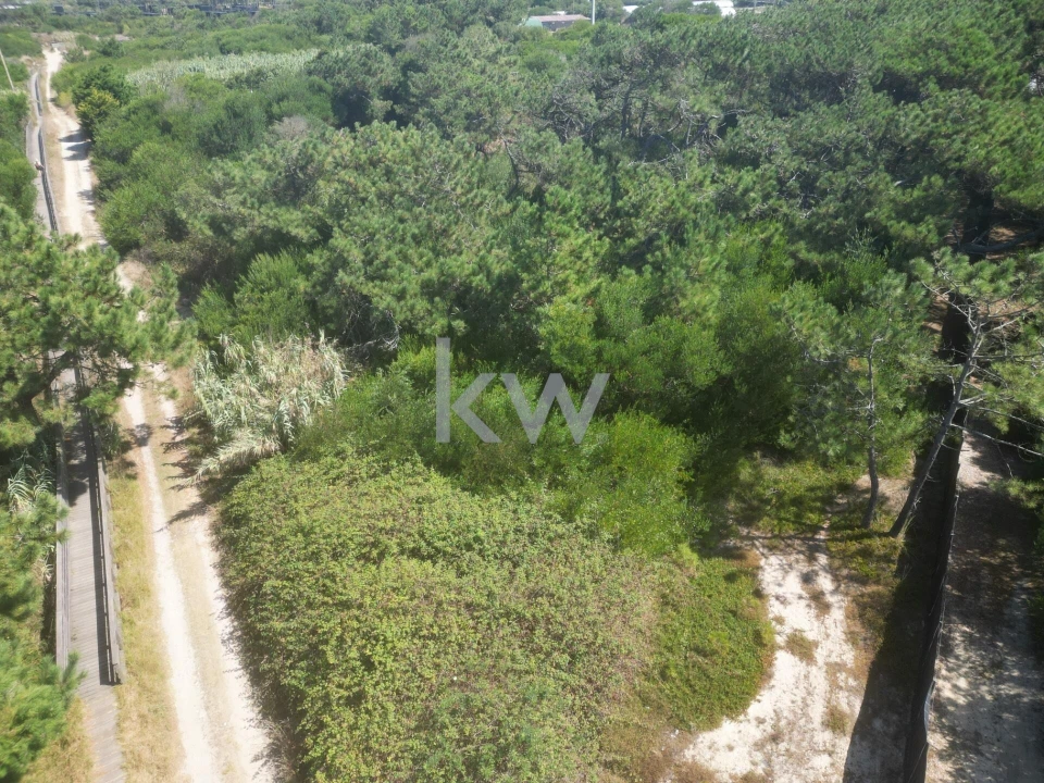 Terreno para Venda em Estela Foto 13