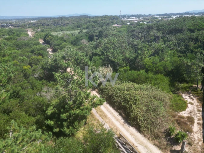 Terreno para Venda em Estela Foto 4