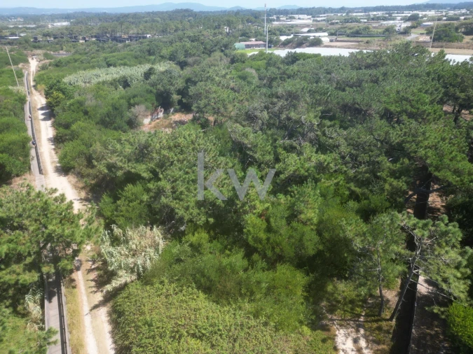 Terreno para Venda em Estela Foto 15