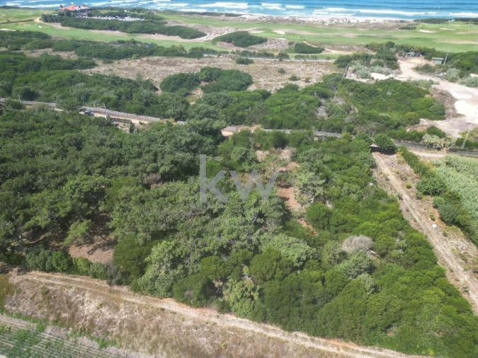 Terreno para Venda em Estela Foto 9