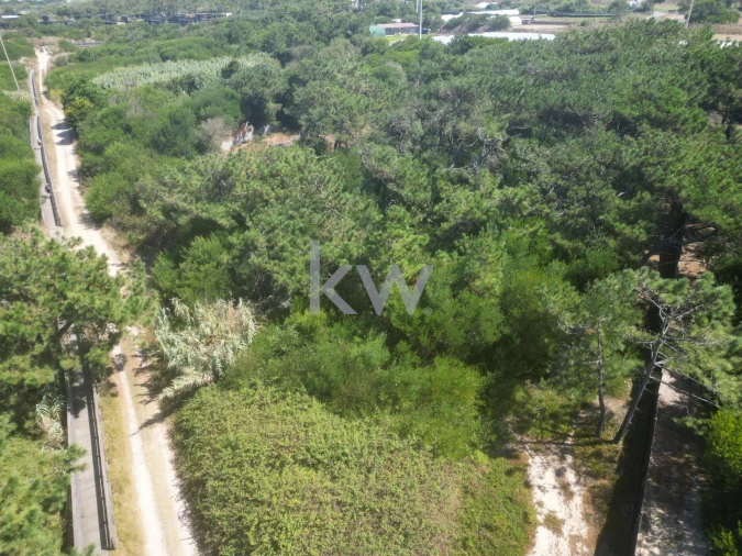 Terreno para Venda em Estela Foto 14