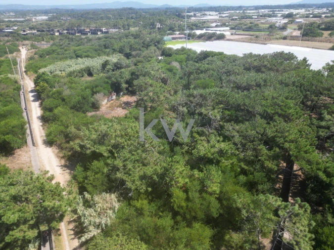 Terreno para Venda em Estela Foto 16