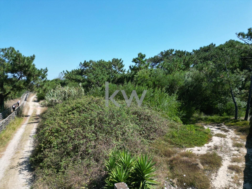 Terreno para Venda em Estela Foto 3
