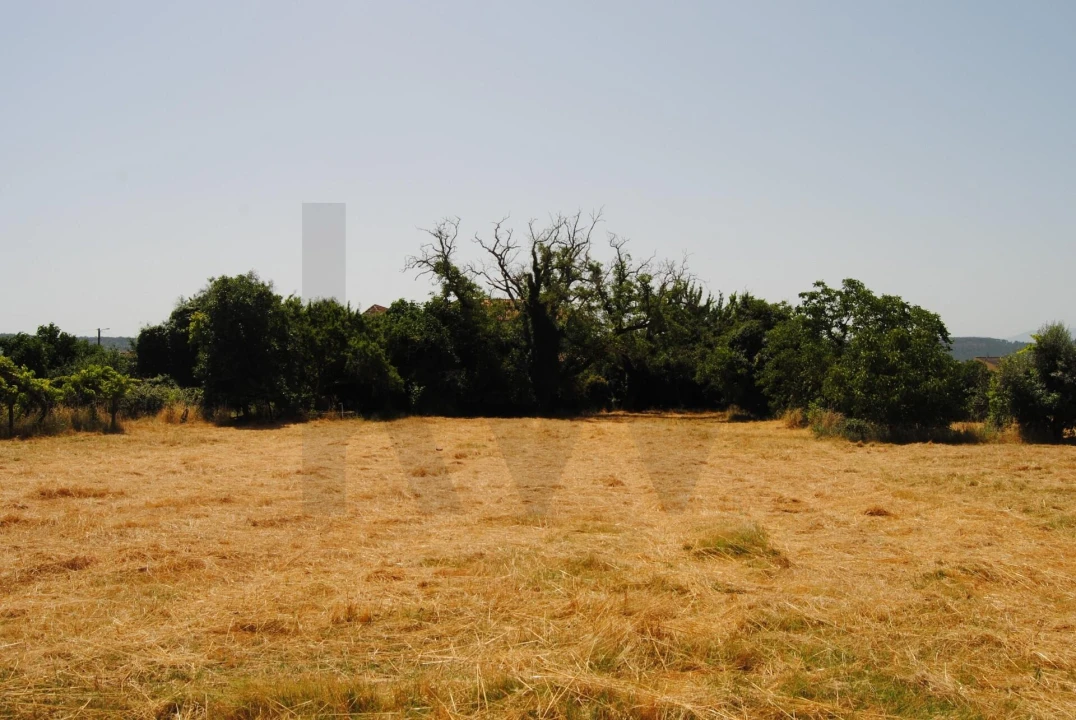 Quinta T6 para Venda em Dornelas Foto 29