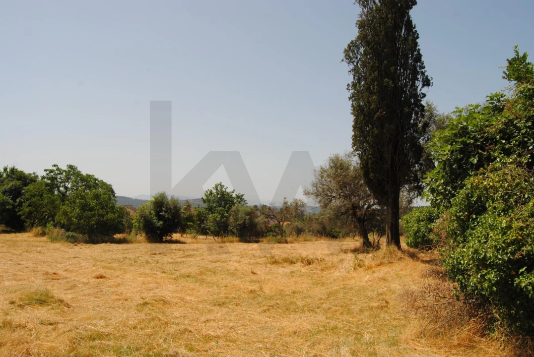 Quinta T6 para Venda em Dornelas Foto 30