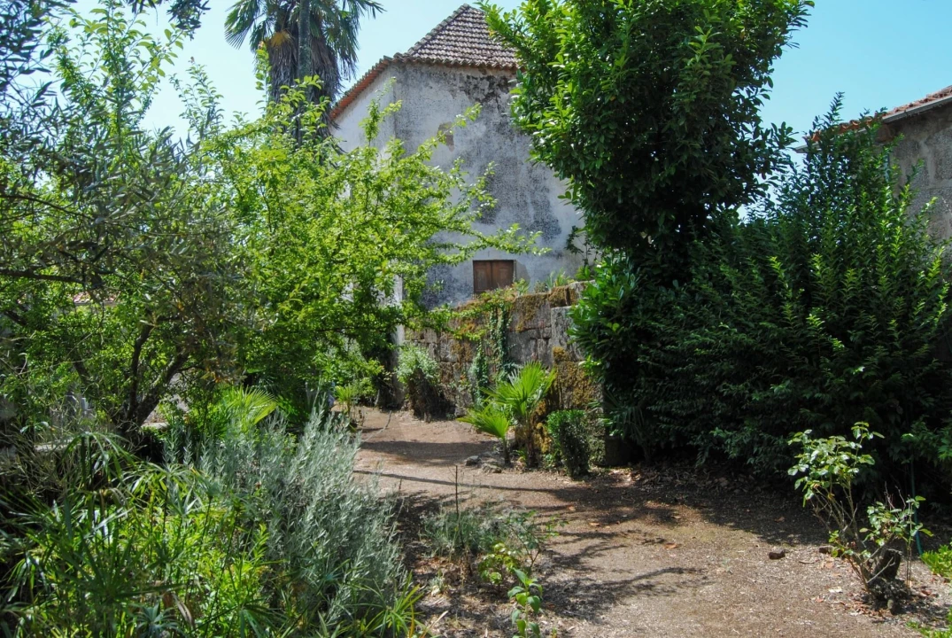 Quinta T6 para Venda em Dornelas Foto 9