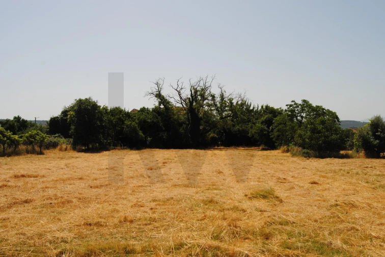 Quinta T5 para Venda em Dornelas Foto 29