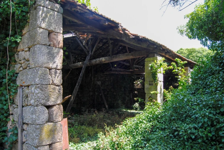 Quinta T5 para Venda em Dornelas Foto 10