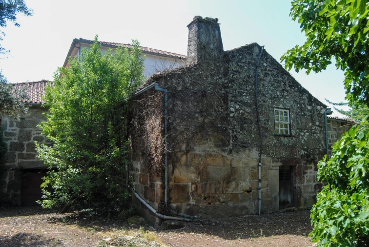 Quinta T5 para Venda em Dornelas Foto 7