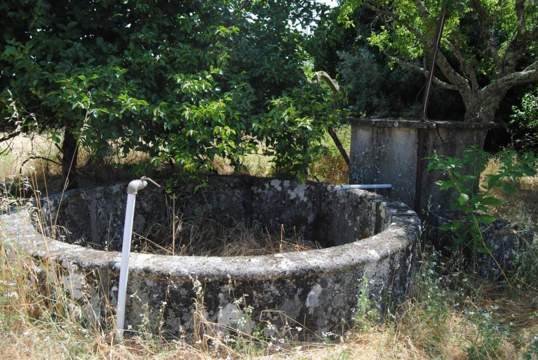 Quinta T6 para Venda em Dornelas Foto 11