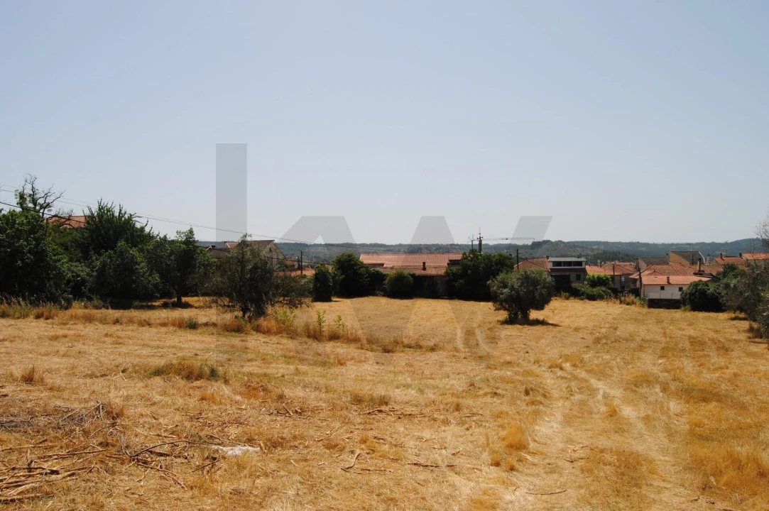 Quinta T6 para Venda em Dornelas Foto 34