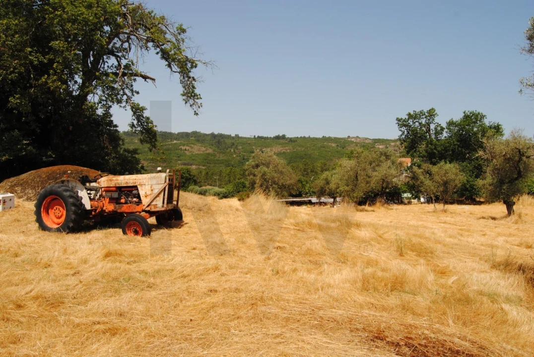 Quinta T6 para Venda em Dornelas Foto 31