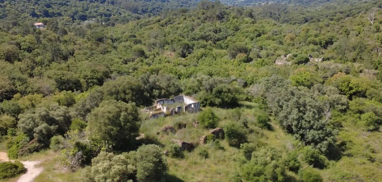 Terreno para Venda em Palmela Foto 18