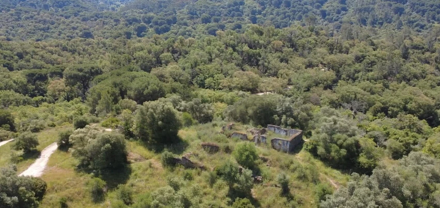 Terreno para Venda em Palmela Foto 15