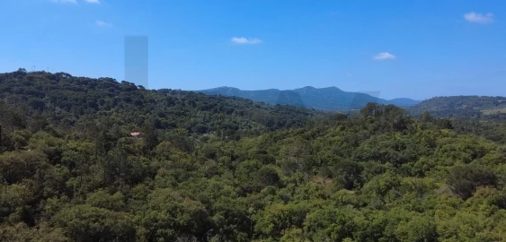 Terreno para Venda em Palmela