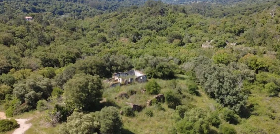 Terreno para Venda em Palmela