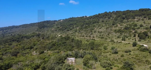 Terreno para Venda em Palmela