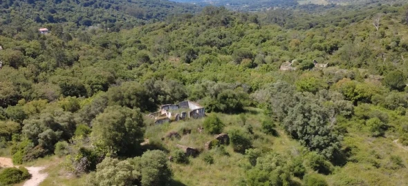 Terreno para Venda em Palmela