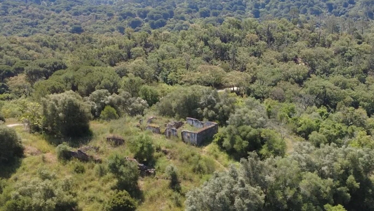 Terreno para Venda em Palmela Foto 17