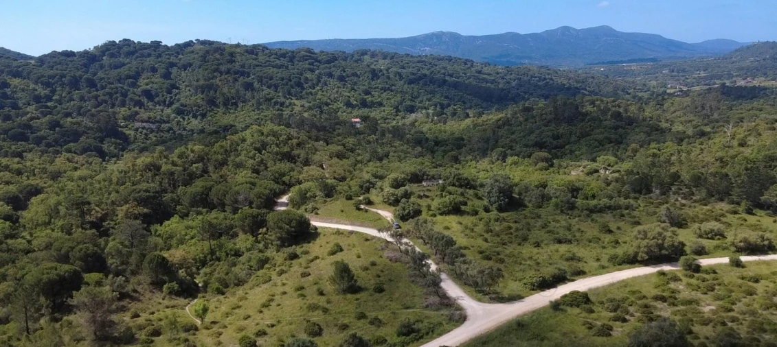 Terreno para Venda em Palmela Foto 5
