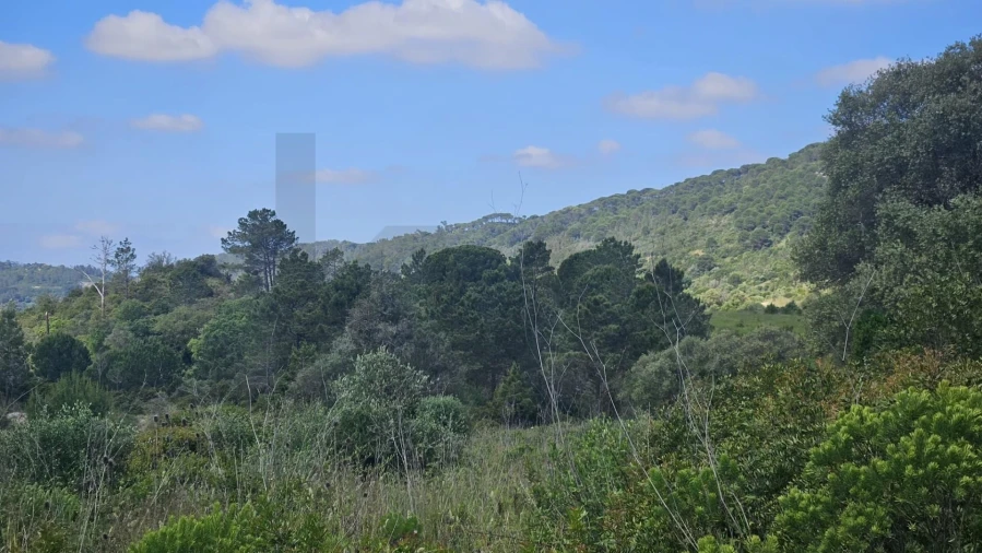 Terreno para Venda em Palmela Foto 20