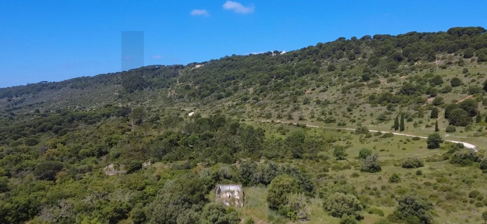 Terreno para Venda em Palmela Foto 14