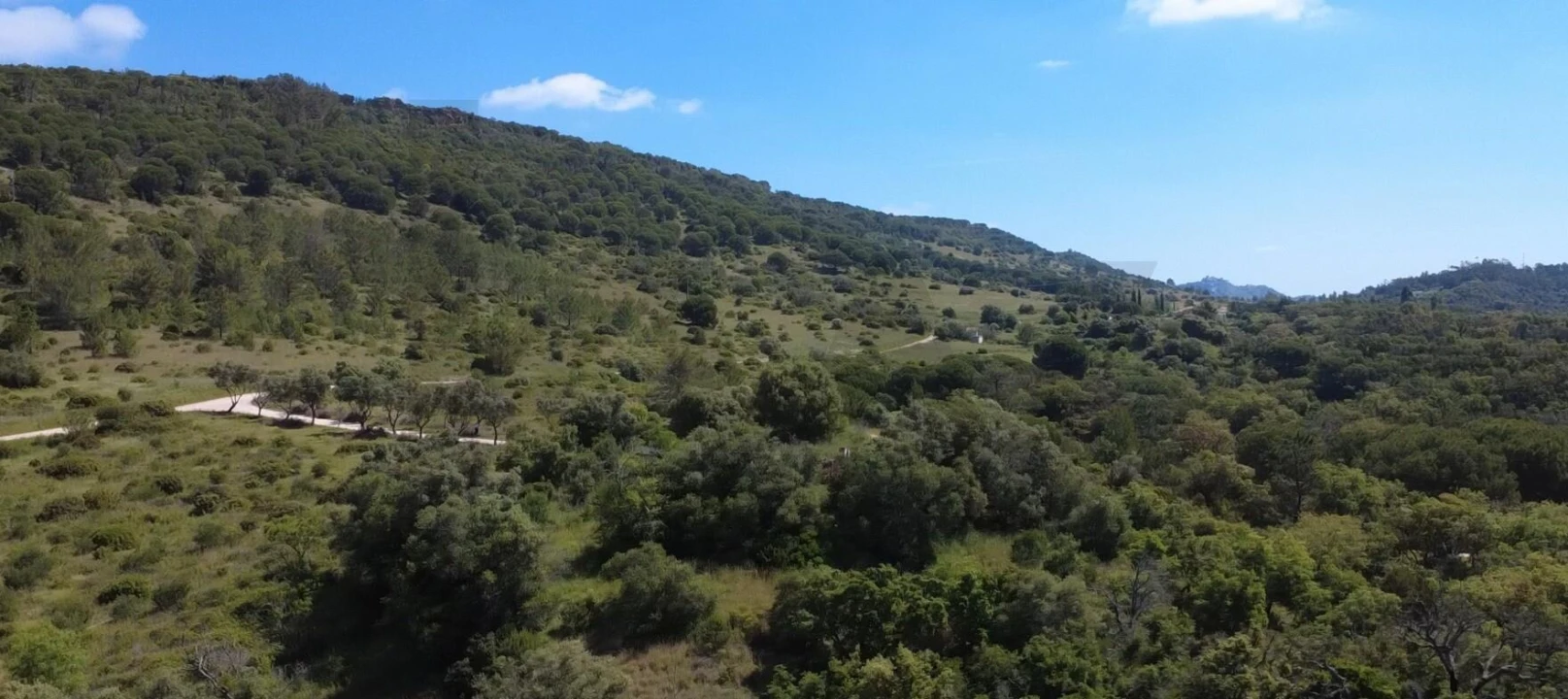 Terreno para Venda em Palmela Foto 12