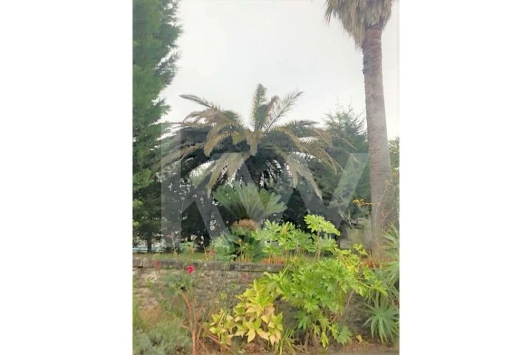 Quinta T5 para Venda em Seixas Foto 88