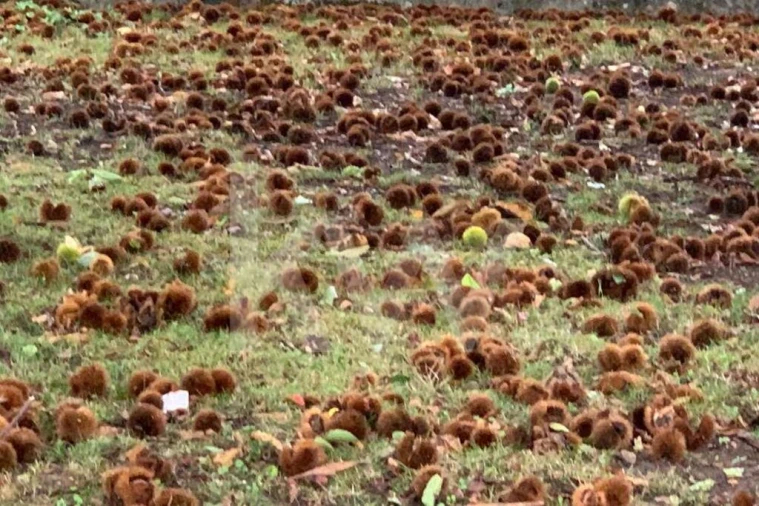 Quinta T5 para Venda em Seixas Foto 74