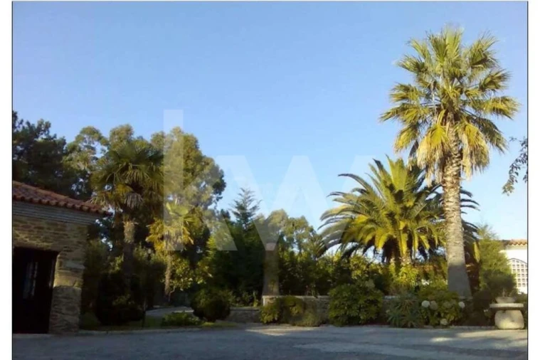 Quinta T5 para Venda em Seixas Foto 63