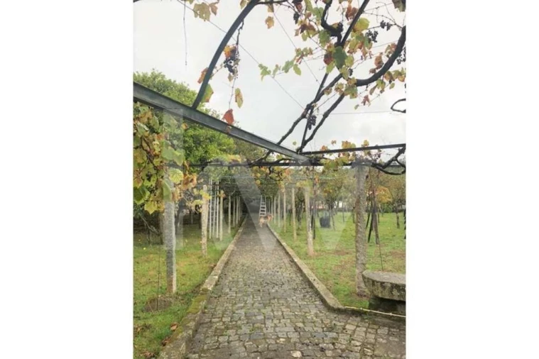 Quinta T5 para Venda em Seixas Foto 72