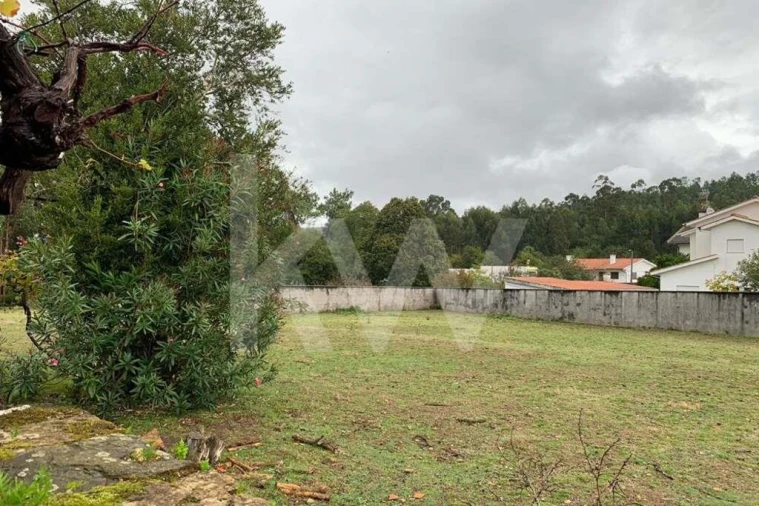 Quinta T5 para Venda em Seixas Foto 87