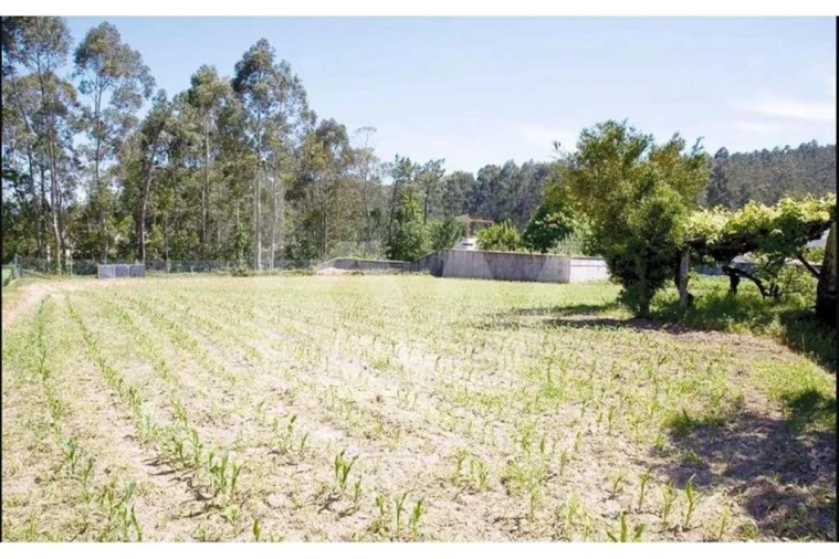 Quinta T5 para Venda em Seixas Foto 86