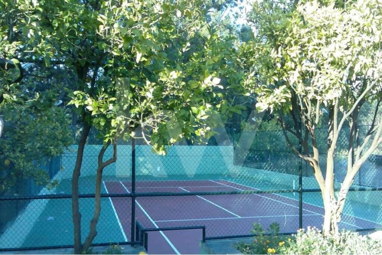 Quinta T5 para Venda em Seixas Foto 64