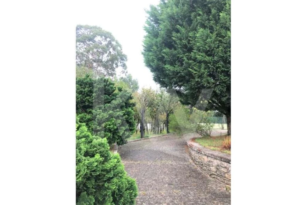 Quinta T5 para Venda em Seixas Foto 71