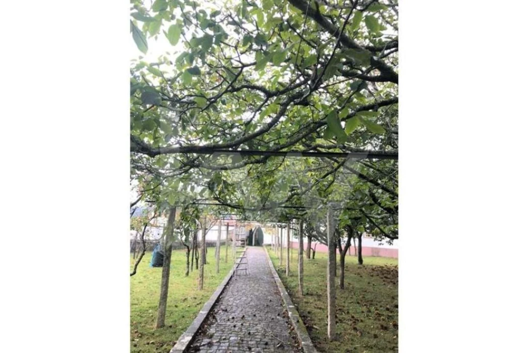 Quinta T5 para Venda em Seixas Foto 73