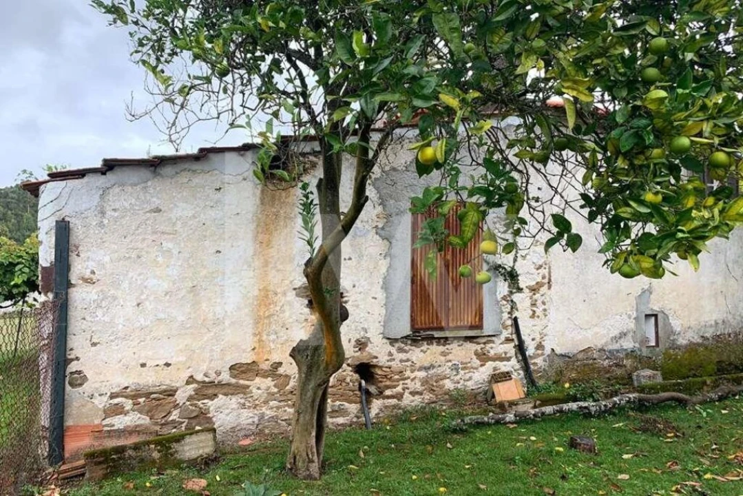 Quinta T5 para Venda em Seixas Foto 78