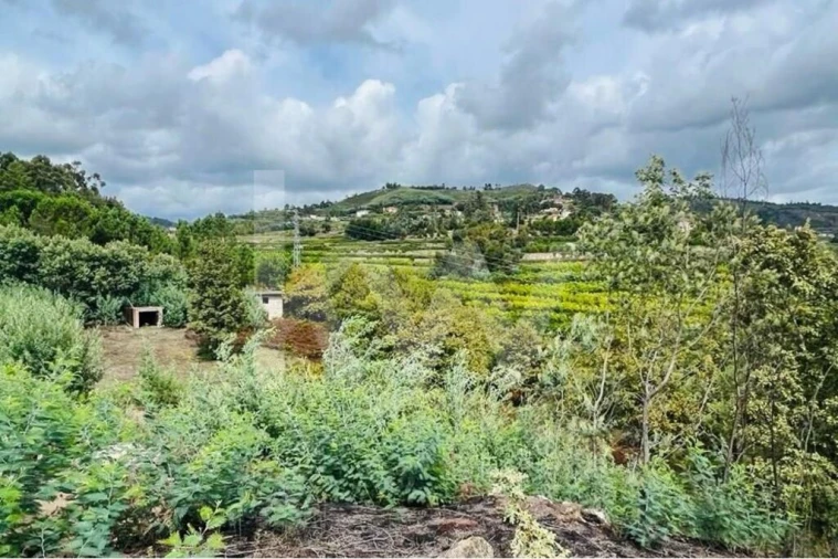 Terreno para Venda em Gove Foto 5