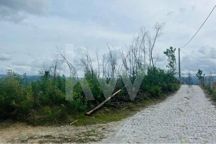 Terreno para Venda em Gove Foto 7