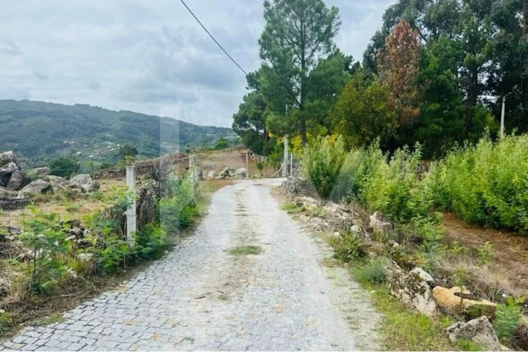 Terreno para Venda em Gove Foto 2