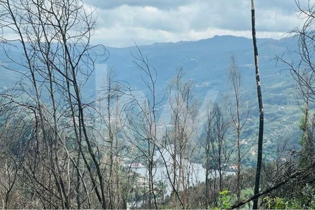 Terreno para Venda em Gove Foto 9