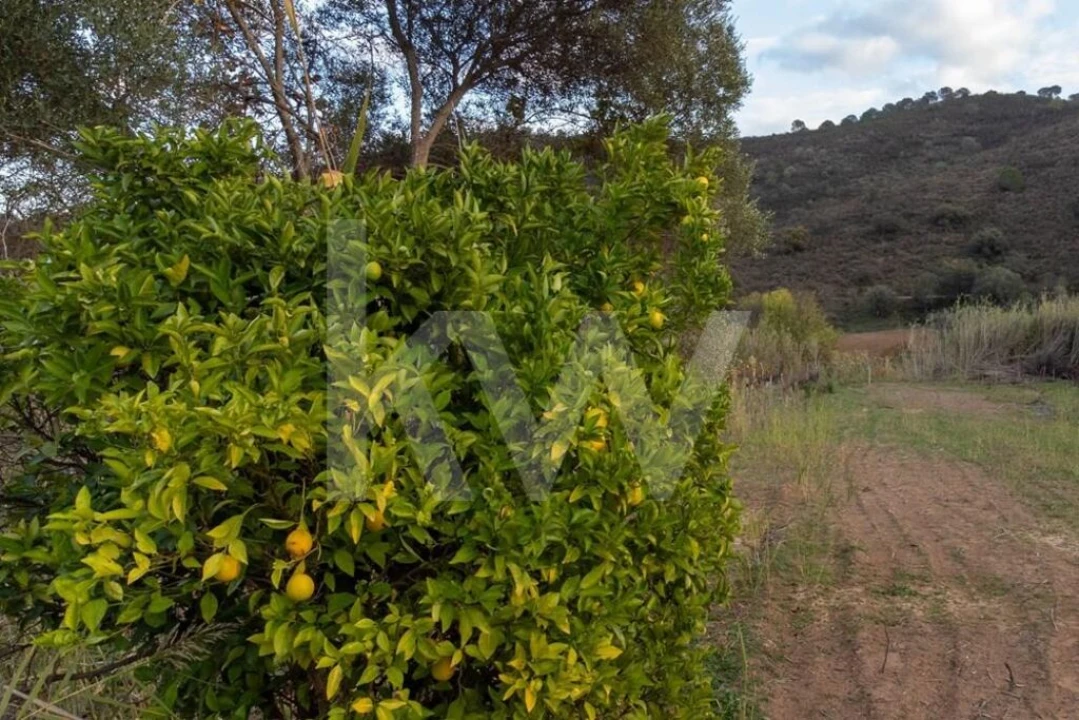 Terreno para Venda em Odeleite Foto 10