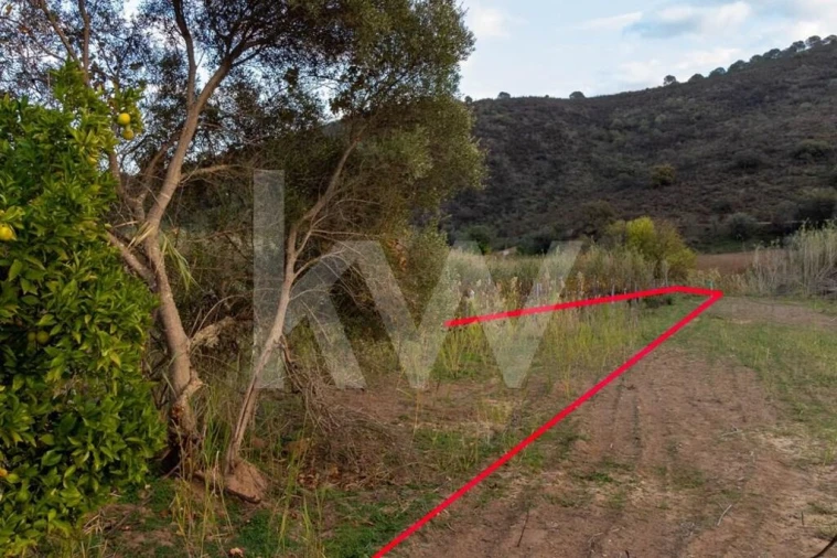 Terreno para Venda em Odeleite Foto 9