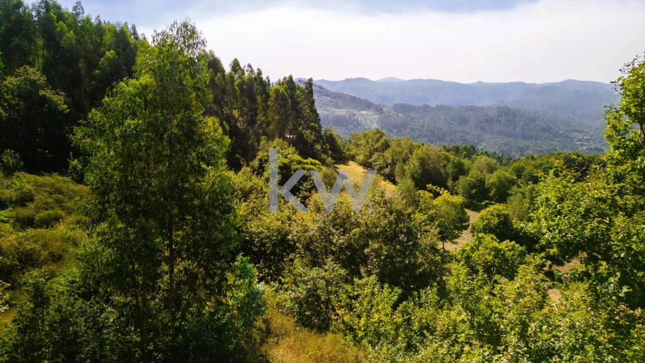 Terreno para Venda em Anjos e Vilar do Chão Foto 4