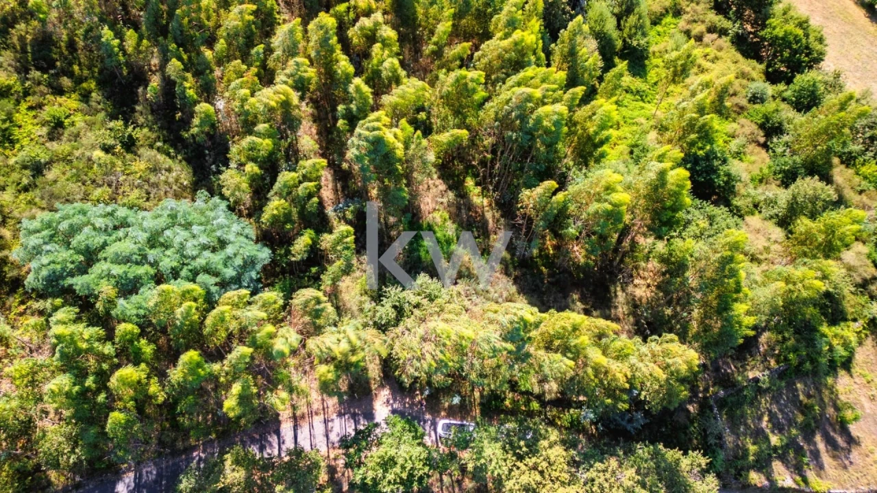 Terreno para Venda em Anjos e Vilar do Chão Foto 20