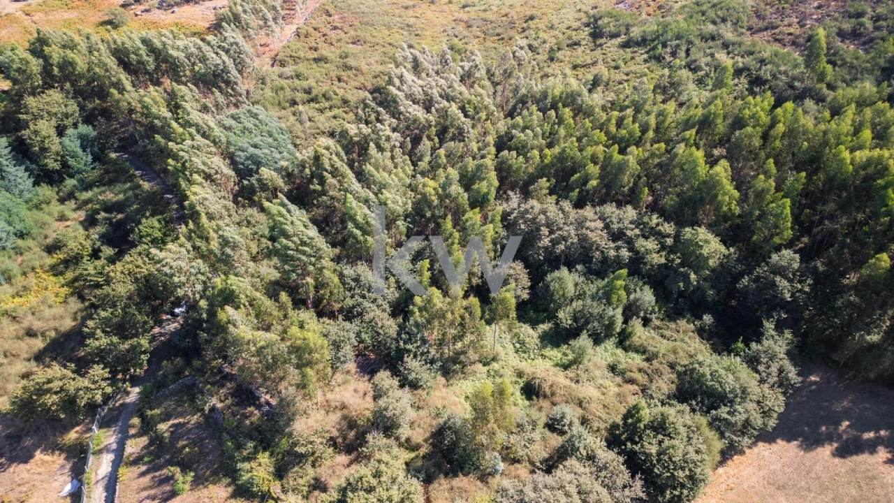 Terreno para Venda em Anjos e Vilar do Chão Foto 16