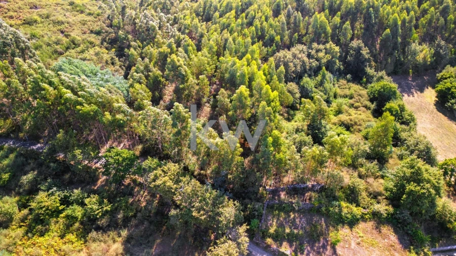Terreno para Venda em Anjos e Vilar do Chão Foto 14