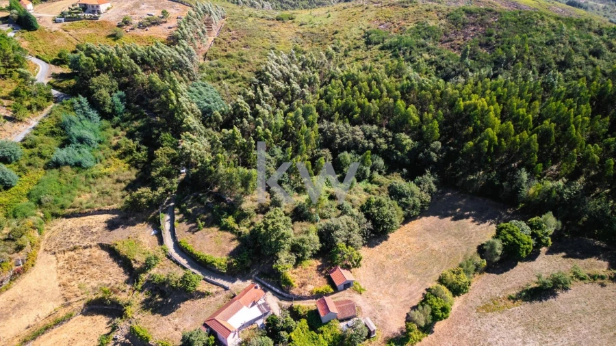 Terreno para Venda em Anjos e Vilar do Chão Foto 7